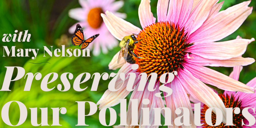 Preserving Our Pollinators – Fe University