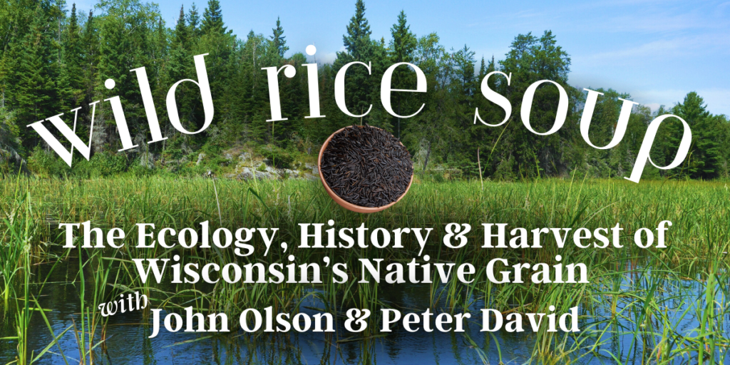 Wild Rice Soup: The Ecology, History and Harvest of Wisconsin’s Native ...